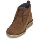 Uomo U.S Polo Assn. AMADEUS CAMEL Enorme Discounted