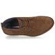 Uomo U.S Polo Assn. AMADEUS CAMEL Enorme Discounted