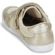 Donna Classiche basse Kaporal Snatch Beige In Vendita On-Line