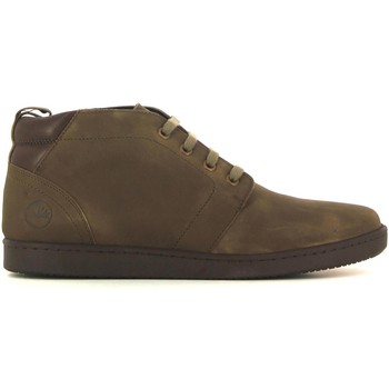 Uomo Lumberjack 1099 Polacchino Uomo Khaki Clearance online